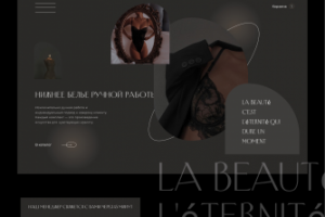 Концепт дизайна для интернет-магазина нижнего белья