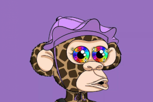 Baby Ape Club (Archived)