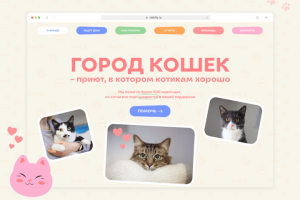 Сайт для приюта кошек «Город кошек»