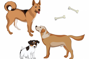 Работа 3935897