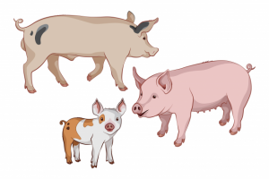 Работа 3935896