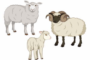 Работа 3935893