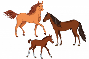 Работа 3935892