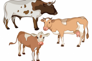 Работа 3935884