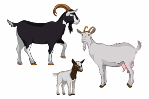 Работа 3935880