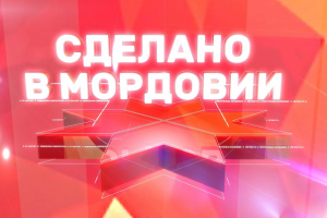 Сделано в Мордовии