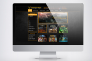 ПРОФЕССИОНАЛЬНЫЙ ИГРОВОЙ ПОМОЩНИК