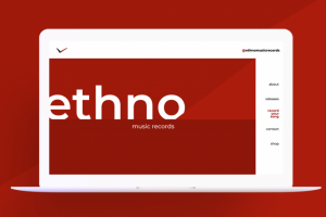 Верстка и программирование проекта "Echno"