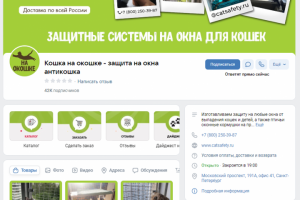 349 лидов за 1 месяц для кошачьего интернет-магазина  с помощью