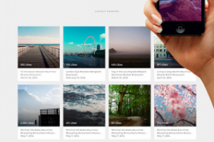 Работа 3584441