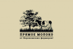 Работа 3584431