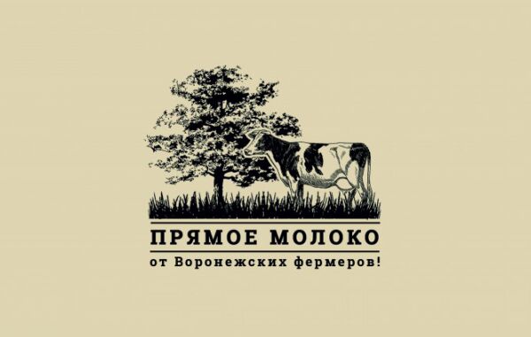 img3584431.png