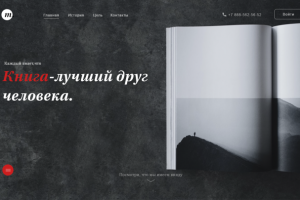 Презентация книги