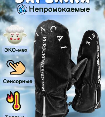 img4356901.png