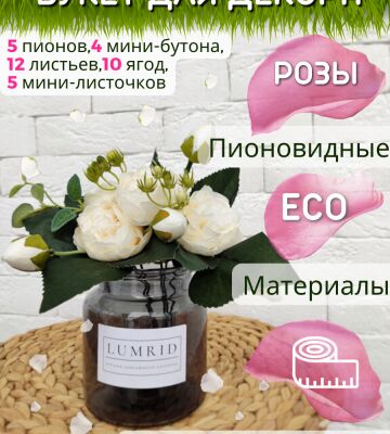 img4356898.png