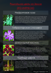 Буклет
