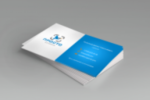 Работа 2106827