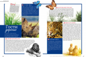 Работа 1988419