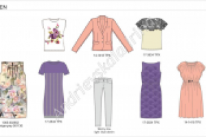 Разработка капсул женской одежды.