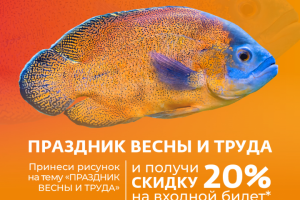 акционный баннер Крокус Сити Океанариум