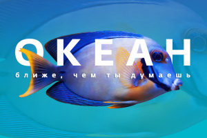 Крокус Сити Океанариум