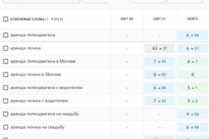 9 дней и 9 запросов в топ