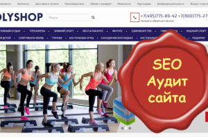 Аудит интернет-магазина спортивных товаров
