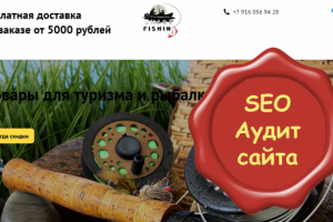 Аудит интернет-магазина товаров для рыбалки и туризма