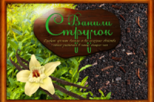 "Стручок ванили"