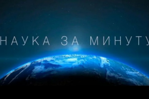 Видео по моему сценариию