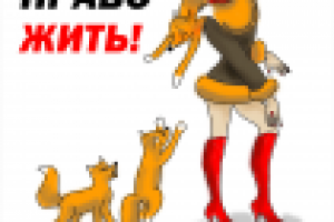 Животные - не одежда