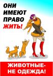 img2485212.png