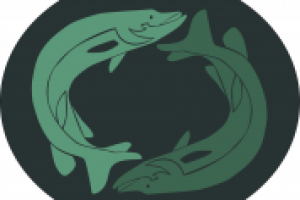 "щуки" векторный клипарт