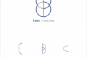 Эбола Консалтинг