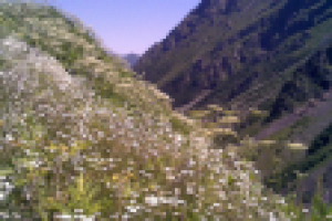 Цейское ущелье. Осетия