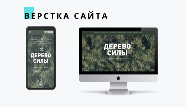 img4167853.png