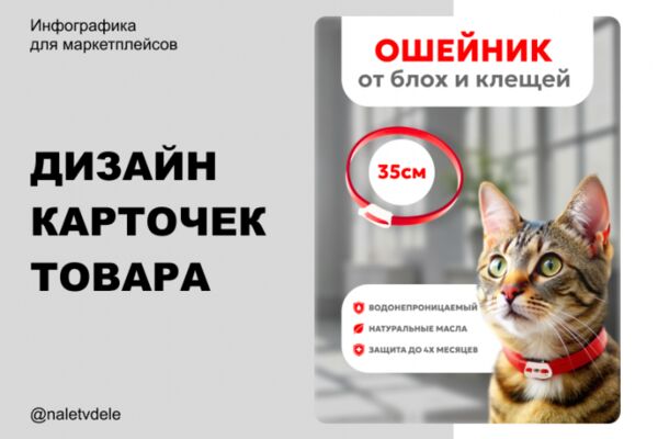img4605482.png