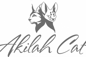 AkilaCat