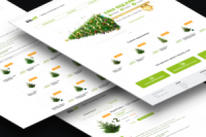 Ёлкофф — интернет-магазин по продаже ёлок и новогодних игрушек