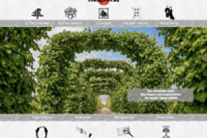 Nivaki.ru — разработка модуля галереи