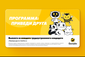 БАННЕР ДЛЯ E-MAIL-РАССЫЛКИ || Beeline