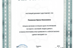 Директ Менеджер 3.0