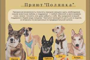 Баннер для поста