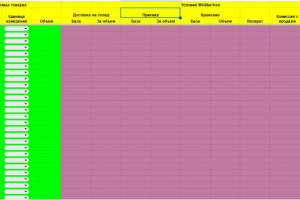 Финансовая модель для работы на маркетплейсах