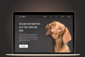 Дизайн главной страницы профессиональных услуг  для животных
