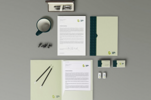 Бухгалтерское сопровождение