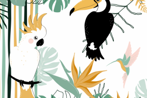 Иллюстрации для фотосервиса