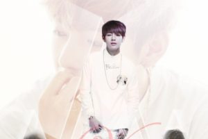 Работа 3266239