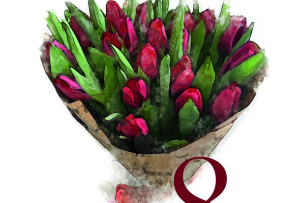 img4598287.png