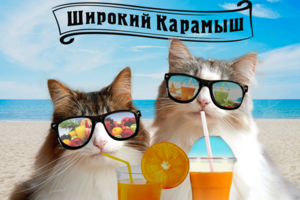 оформление главной страницы